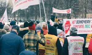 Стоп свалка - митинг